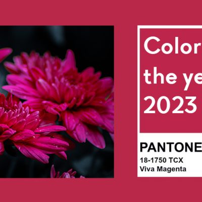 Pantone Color del año 2023: Viva Magenta