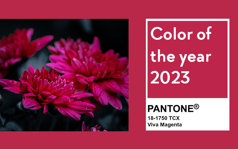 PANTONE Colour of the Year 2023: Viva Magenta 18-1750