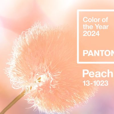 Pantone Color del año 2024: Peach Fuzz