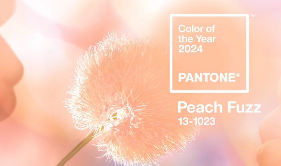 Pantone Color del año 2024 Peach Fuzz Tarrago